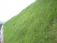 /album/obras/granada-sucre-320-jpg/